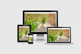 Resized Image